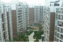 都江岸在水一方