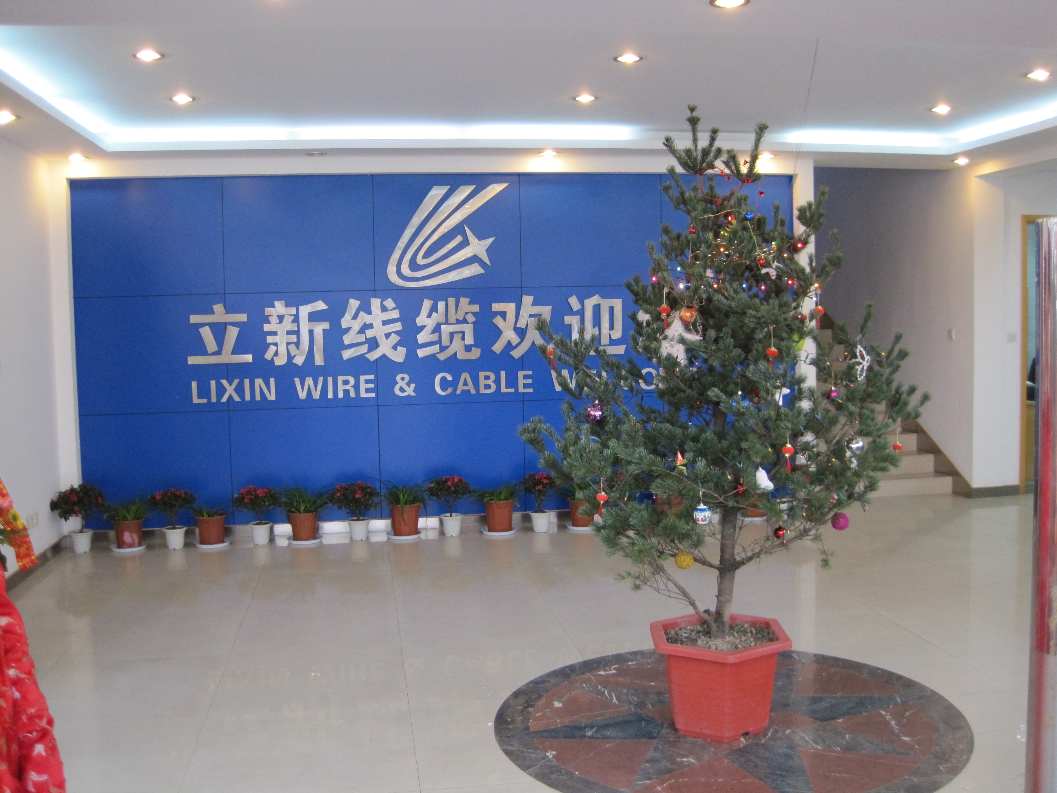 庆祝公司成立二十一年