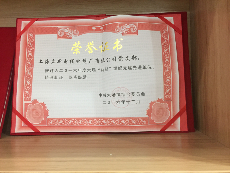 喜获2016年度大场镇"两新"党建先进单位殊荣